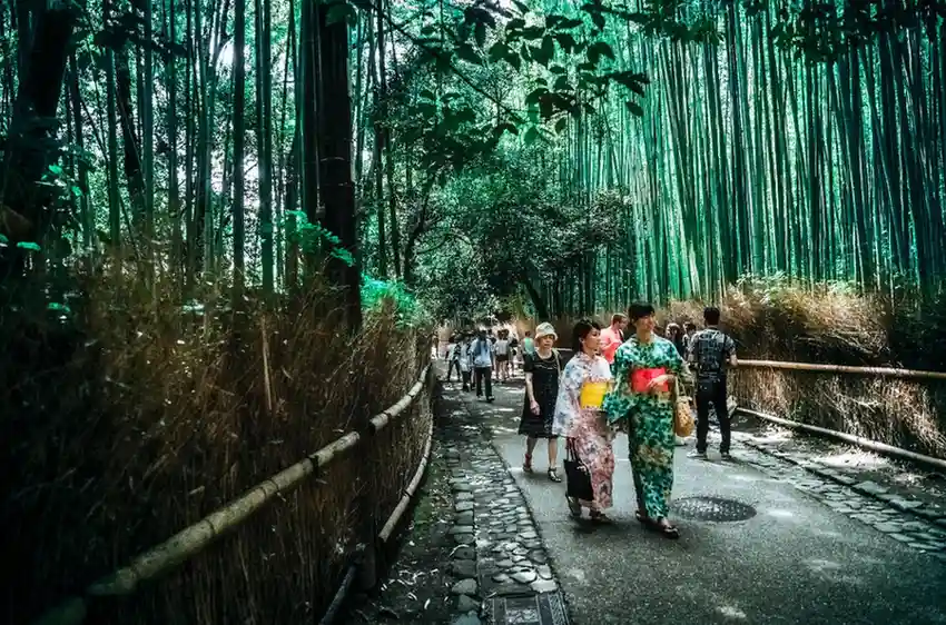 Klook Japan tours Arashiyama bamboo grove