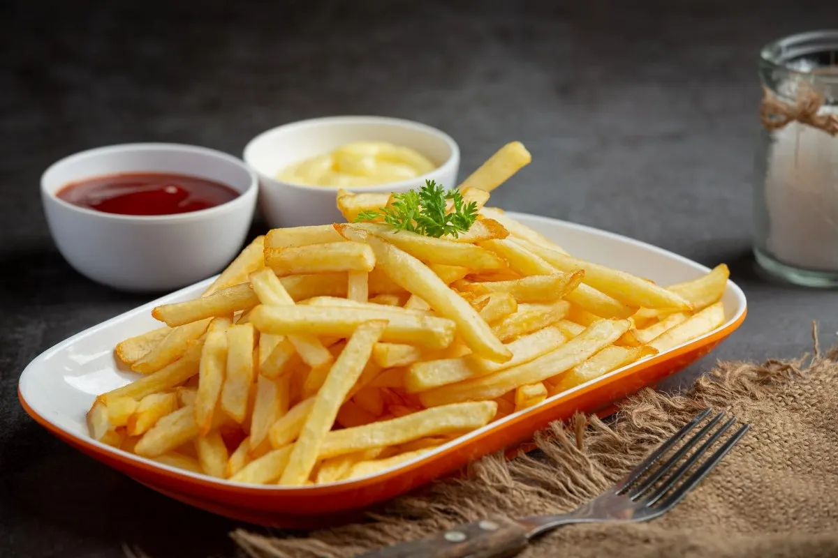 air fryer recipes fries